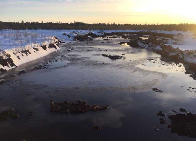 На месторождениях «ЛУКОЙЛа» нашли незаконную добычу торфа. Прибыль бенефициаров оценили в 300 миллионов