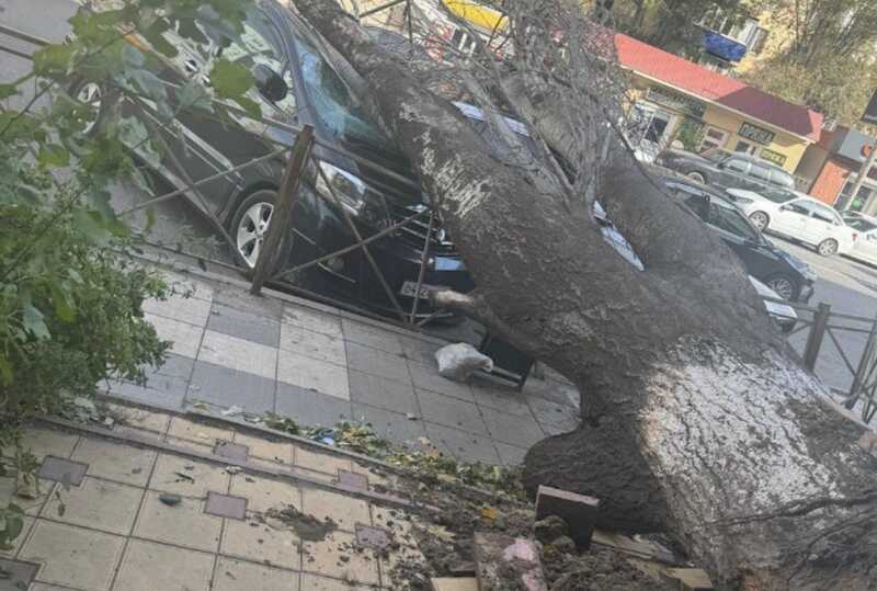 Ураганные порывы ветра обрушились на Дагестан, оставив десятки тысяч людей без электричества