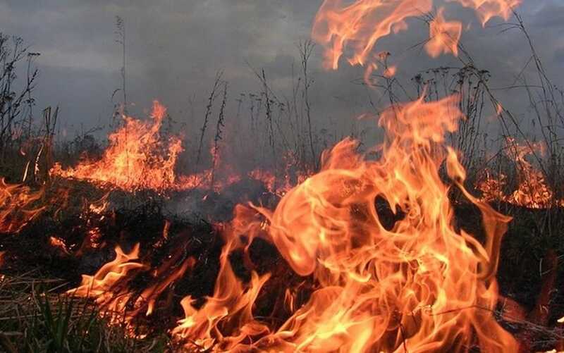Житель Бурятии коптил сало и едва не устроил пожар в деревне