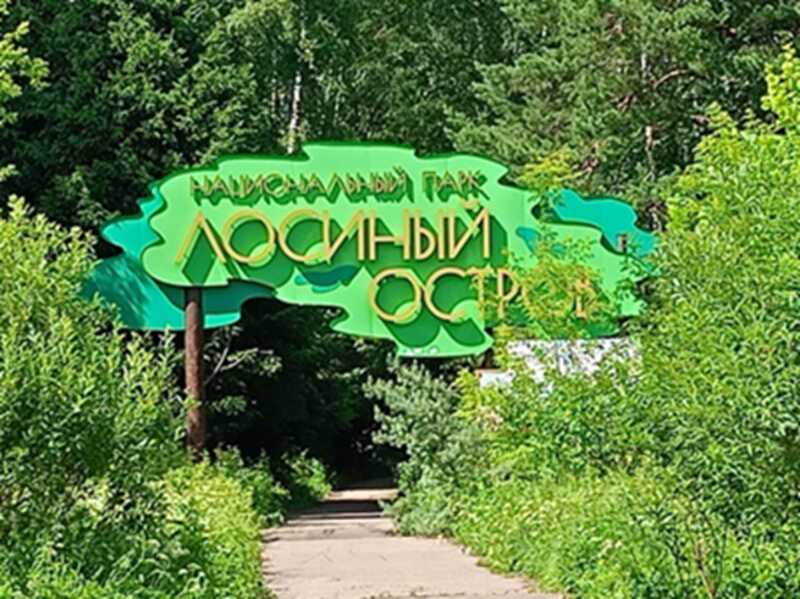 Массивные машины, маски и кровь: каким образом разрушается Лосиный Остров под предлогом строительства инфраструктуры