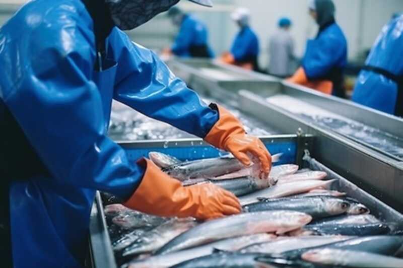 Норвегия установила ограничения в отношении российских компаний, занимающихся рыболовством, из-за обвинений в шпионаже