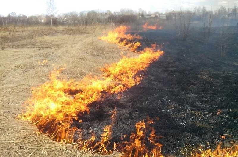 В Ставрополье неизвестные подожгли траву: пламя дошло до населенного пункта
